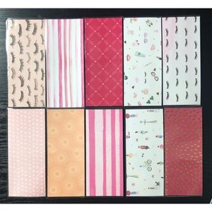 10 laminated cash envelopes